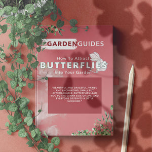 How To Attract Butterflies Into Your Garden